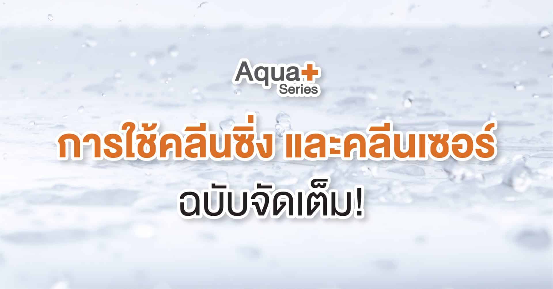 คลีนชิ่ง