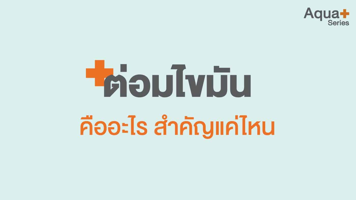 ต่อมไขมัน